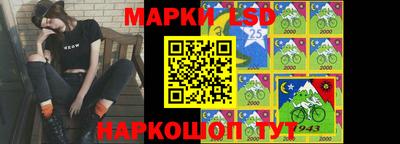 амф Новодвинск