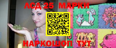 амф Новодвинск