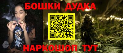 шишки Новокубанск