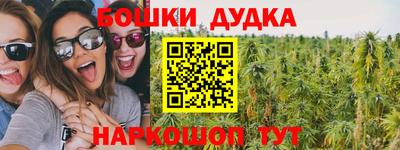 амф Новозыбков